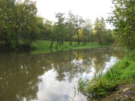 Cukrovarský rybník ve Vinoři 14.10.2014 (8).JPG